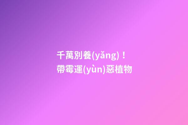 千萬別養(yǎng)！帶霉運(yùn)惡植物